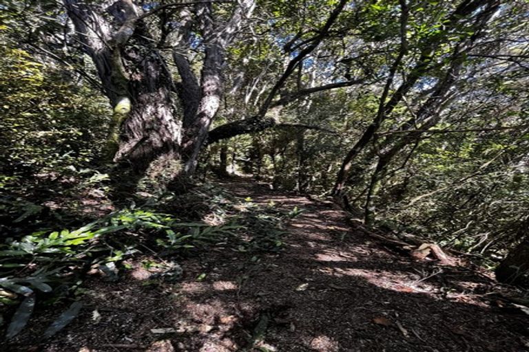 Photo of property in 24 Fred Hollows Way, Glenleith, Dunedin, 9010