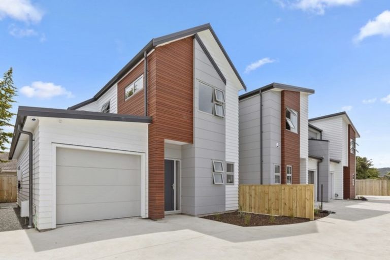 Photo of property in 35a Mitchell Street, Brooklyn, Wellington, 6021