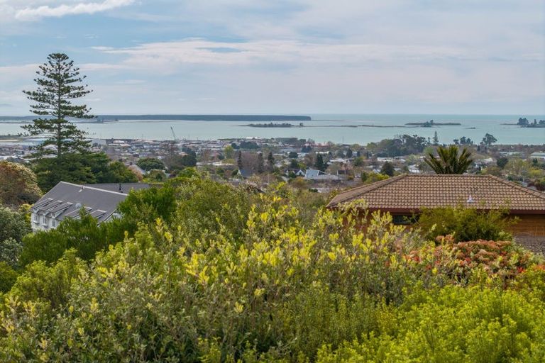 Photo of property in 10 George Kidd Street, Richmond, 7020