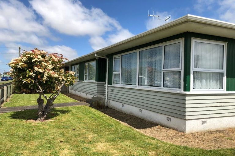 Photo of property in 21 Mako Mako Road, Levin, 5510