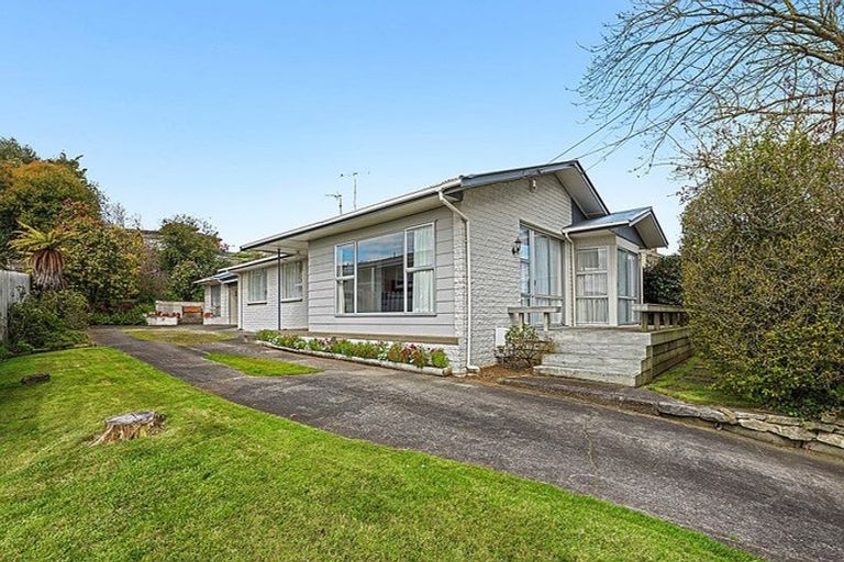 Photo of property in 12 Thomson Avenue, Dinsdale, Hamilton, 3204