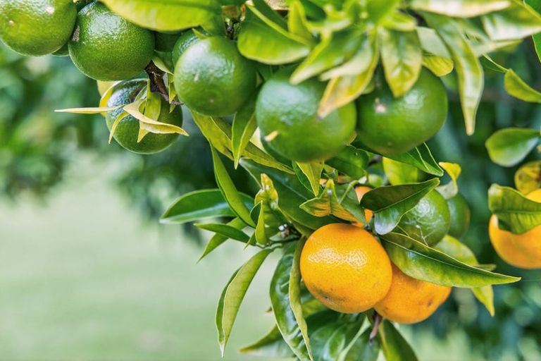 Photo of property in 282 Glenmohr Road, Waipu, 0582