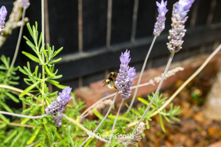 Photo of property in 3 Alleys Way, Ebdentown, Upper Hutt, 5018