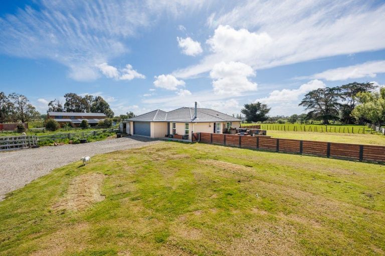 Photo of property in 247 Te Ngaio Road, Bunnythorpe, Palmerston North, 4478