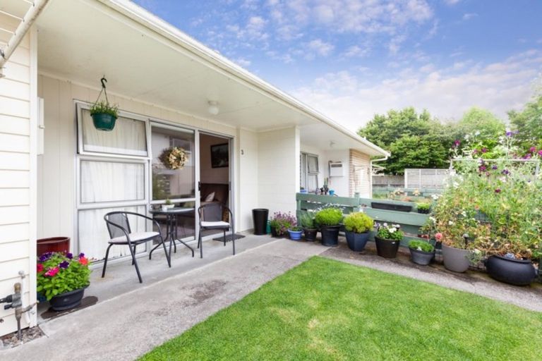 Photo of property in 232/3a Carrington Street, Vogeltown, New Plymouth, 4310