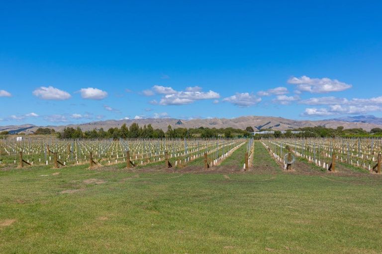 Photo of property in 365 Jones Road, Grovetown, Blenheim, 7273