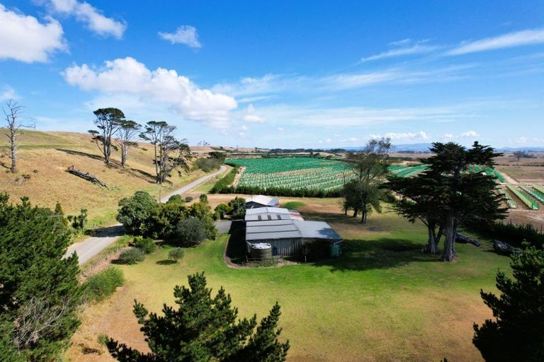 Photo of property in 259 Redhill Cemetery Road, Te Kopuru, Dargaville, 0371
