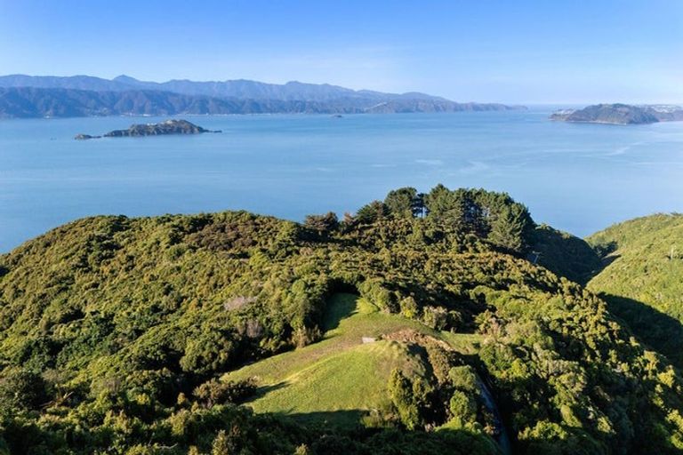 Photo of property in 221 Glanmire Road, Newlands, Wellington, 6037