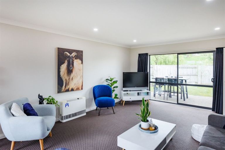 Photo of property in 137 Wyndham Street, Ashhurst, 4810