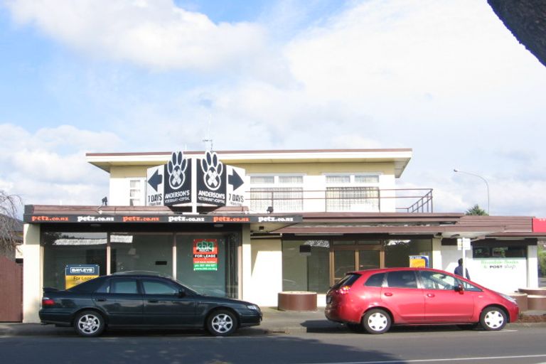 Photo of property in 114 College Street, Awapuni, Palmerston North, 4412