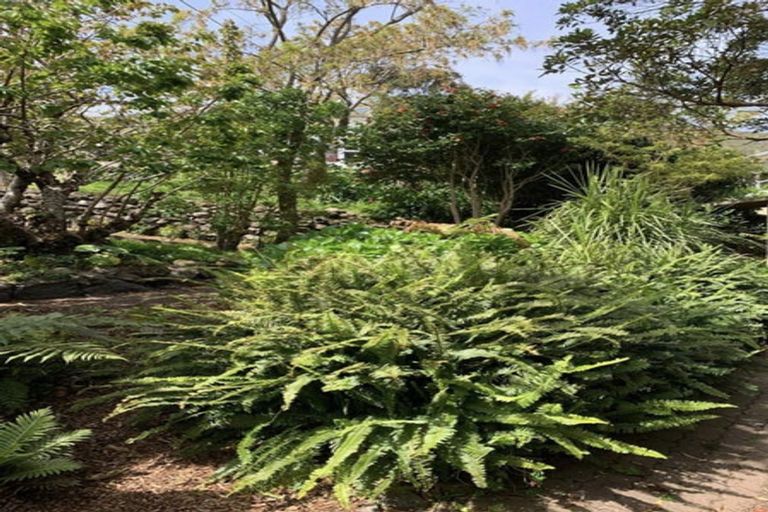 Photo of property in 46 Wellington Road, Paekakariki, 5034