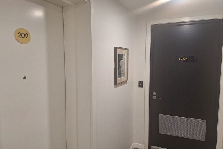 Photo of property in 209/8 Kingsland Terrace, Kingsland, Auckland, 1021