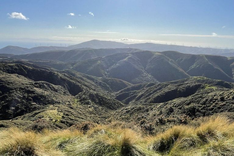 Photo of property in Long Gully Farm, 500 Hawkins Hill Road, Brooklyn, Wellington, 6021