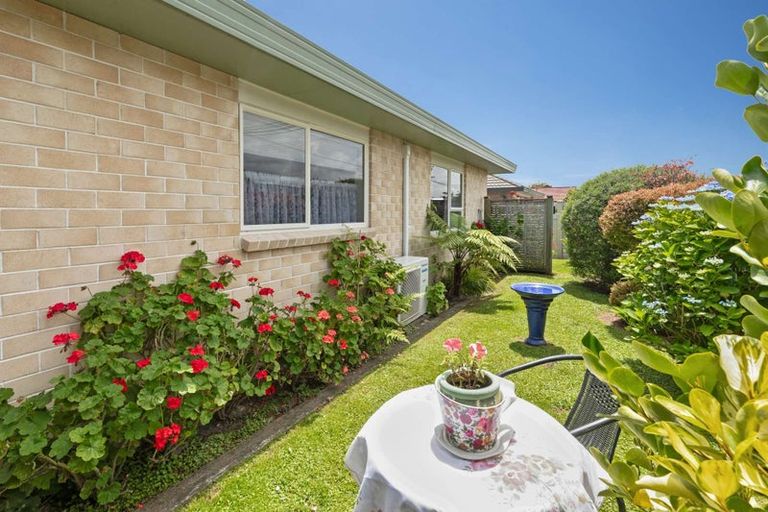 Photo of property in 61 Winchester Street, Levin, 5510