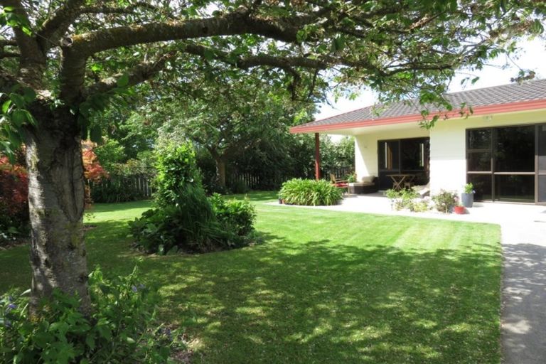 Photo of property in 556 Steffens Road, Starvation Hill, Oxford, 7495