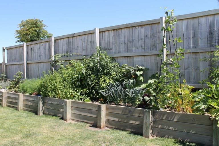 Photo of property in 13 Carnoustie Place, Morrinsville, 3300