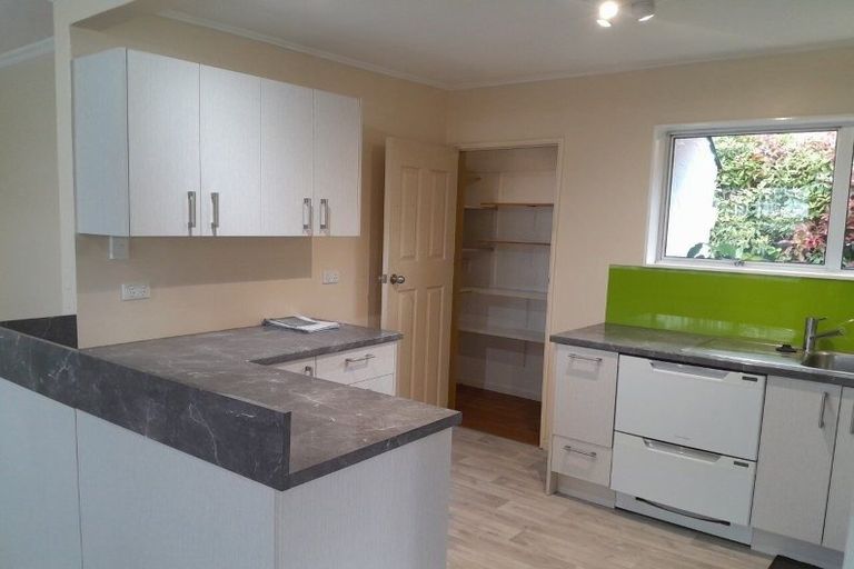 Photo of property in 45 Middlepark Road, Sockburn, Christchurch, 8042