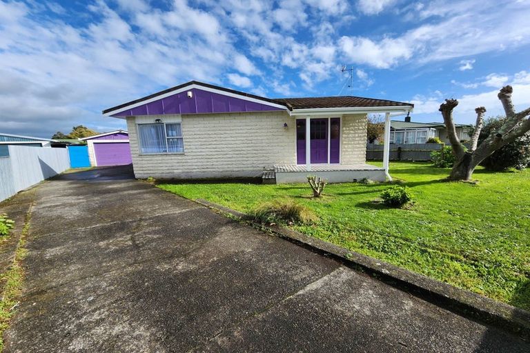 Photo of property in 28 Braemar Street, Levin, 5510