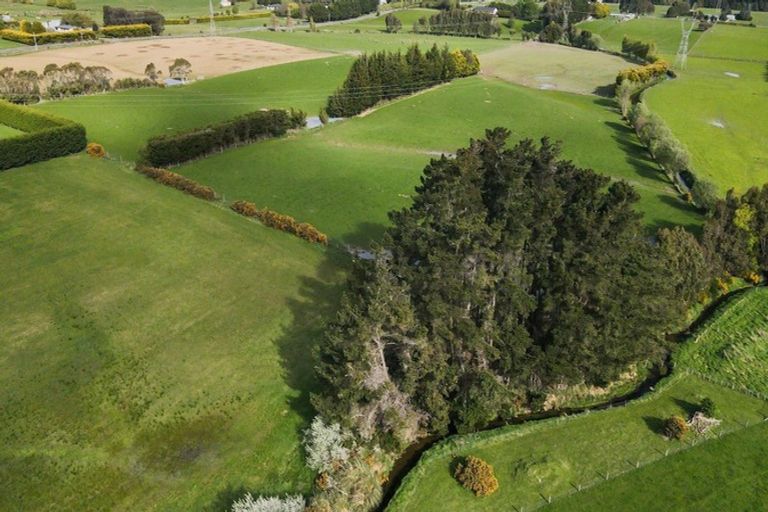 Photo of property in 21 Mcgilvray Road, Myross Bush, Invercargill, 9876