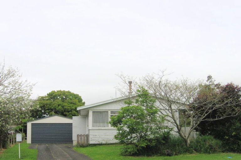 Photo of property in 29 Menzies Place, Paeroa, 3600