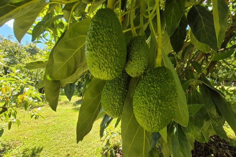 Photo of property in 112 Ruahihi Road, Omanawa, Tauranga, 3171