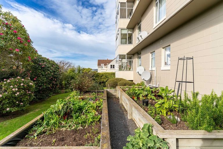 Photo of property in 1/38 Drivers Road, Maori Hill, Dunedin, 9010