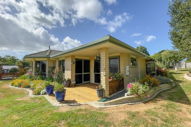 Photo of property in 24 Banks Road, Matamata, 3473
