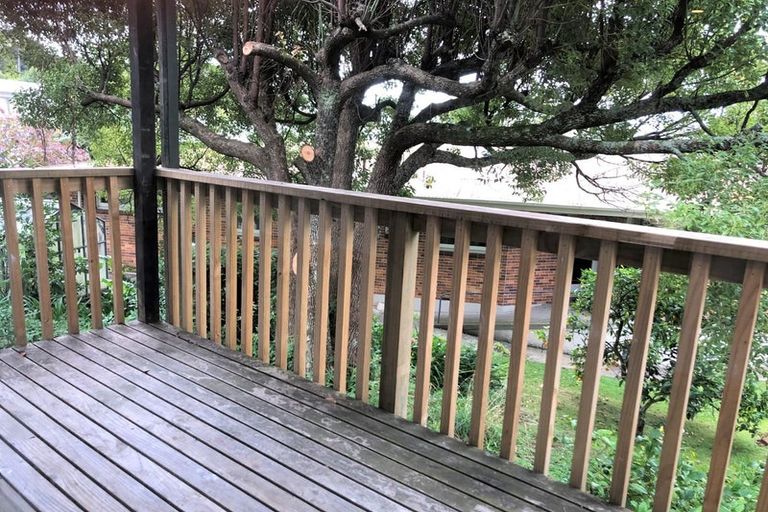 Photo of property in 36 Hunter Street, Hamilton Lake, Hamilton, 3204