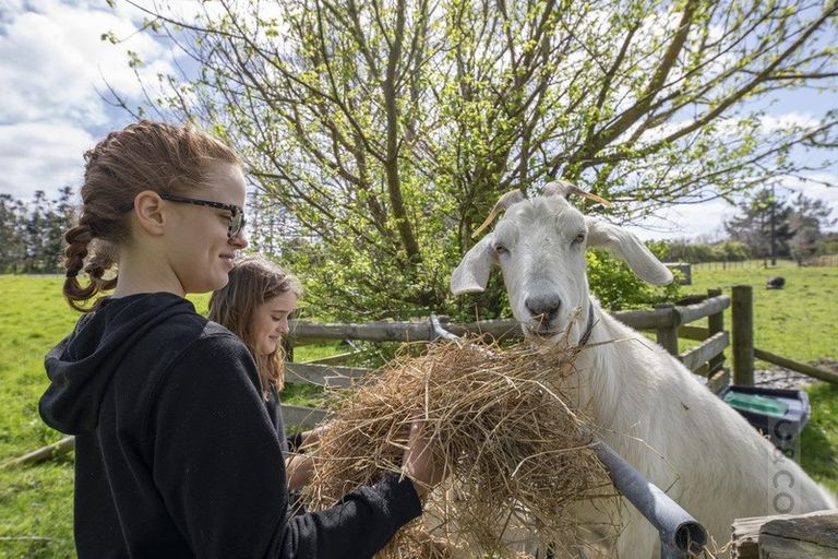 Photo of property in 30 Riverland Road, Kumeu, 0892