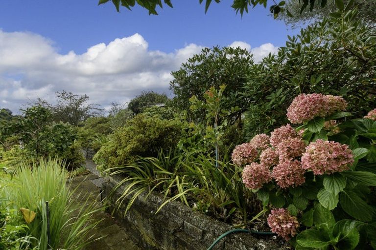 Photo of property in 14 Jonathon Street, Brookfield, Tauranga, 3110