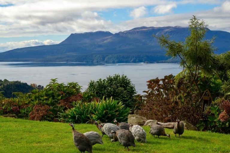 Photo of property in 1064a Tarawera Road, Lake Tarawera, Rotorua, 3076