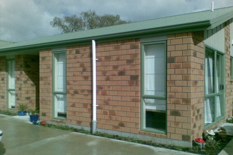 Photo of property in 24a Vine Avenue, Maungatapu, Tauranga, 3112