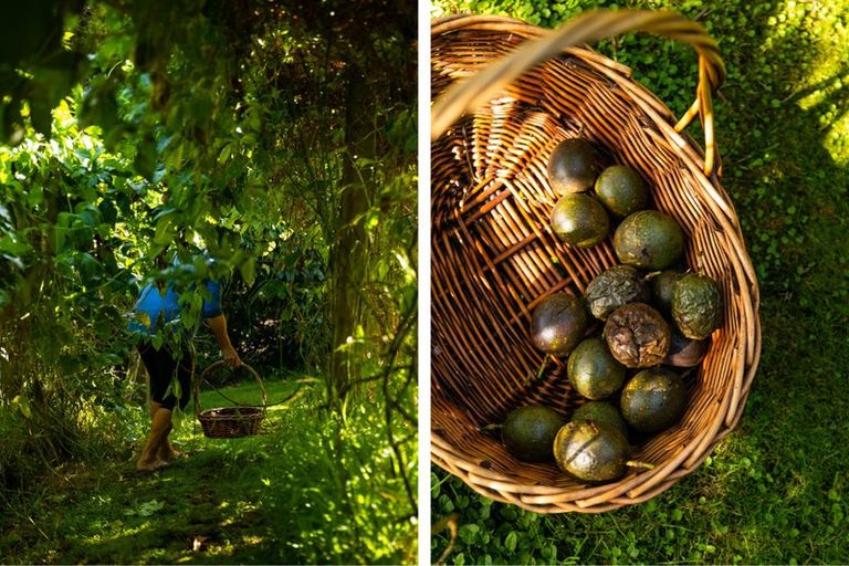 Photo of property in 80 Koutunui Road, Athenree, Katikati, 3177