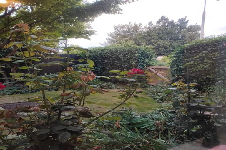 Photo of property in 2 Williamson Place, Allenton, Ashburton, 7700