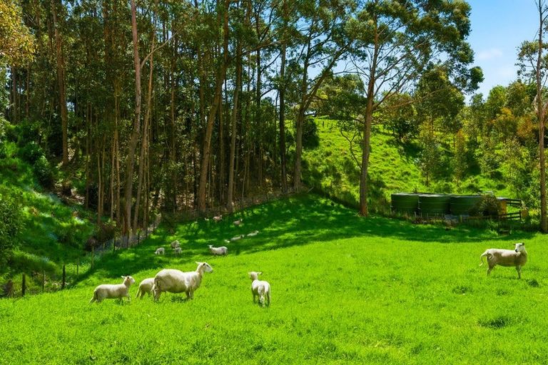 Photo of property in 340d Ngarara Road, Waikanae, 5391