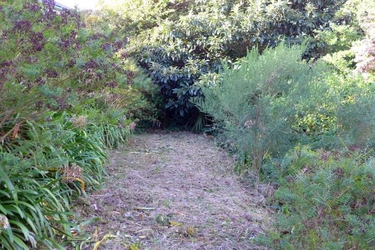 Photo of property in 38 Guys Hill Road, Hospital Hill, Napier, 4110