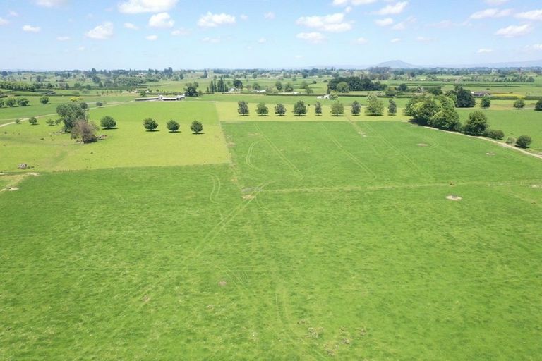 Photo of property in 231 Grice Road, Rotoorangi, Cambridge, 3495