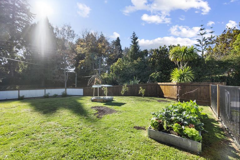 Photo of property in 38 Allen Street, Morrinsville, 3300