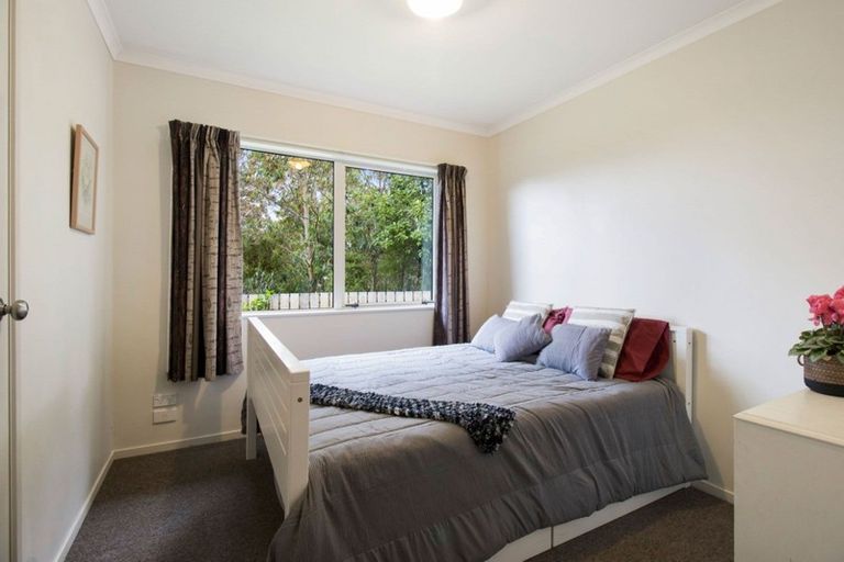 Photo of property in 375 Hot Springs Road, Tahawai, Katikati, 3178