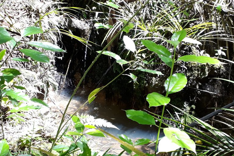 Photo of property in 296 Devich Road, Mangawhai, Kaiwaka, 0573