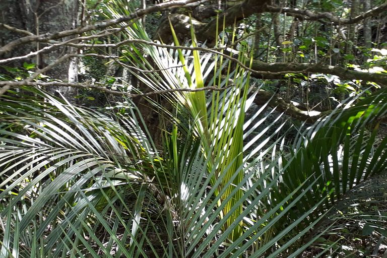 Photo of property in 296 Devich Road, Mangawhai, Kaiwaka, 0573