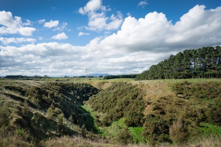 Photo of property in 44 Atlantic Drive, Fitzherbert, Palmerston North, 4410