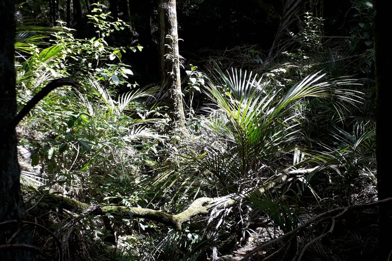 Photo of property in 296 Devich Road, Mangawhai, Kaiwaka, 0573