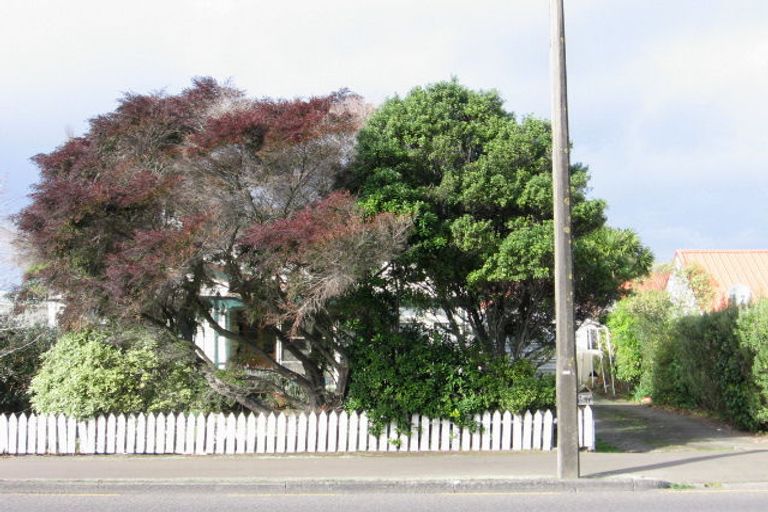 Photo of property in 482 Tremaine Avenue, Takaro, Palmerston North, 4410