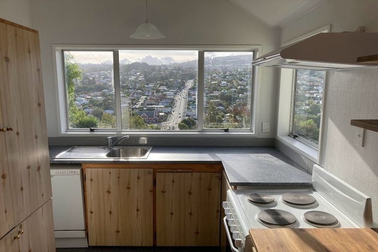 Photo of property in 16 Ann Street, Roslyn, Dunedin, 9010