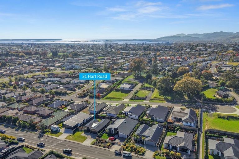 Photo of property in 31 Hart Road, Richmond, 7020