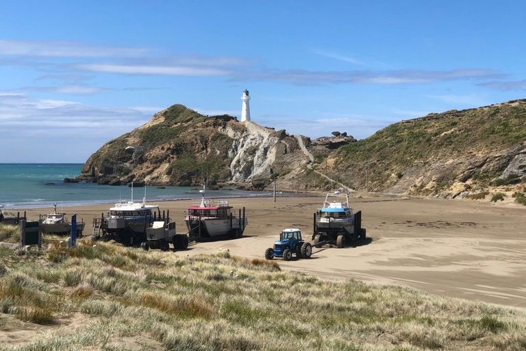 Photo of property in 43 Balfour Crescent, Castlepoint, Tinui, 5889