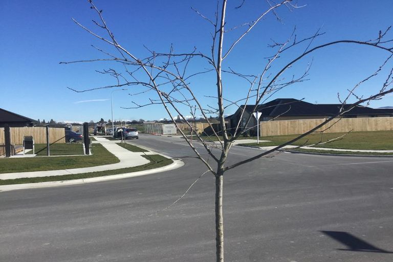 Photo of property in 8 Goodwin Street, Rangiora, 7400