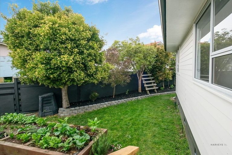 Photo of property in 19 Roick Parade, Glen Eden, Auckland, 0602