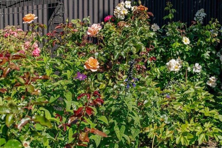 Photo of property in 49 Alpha Street, Cromwell, 9310